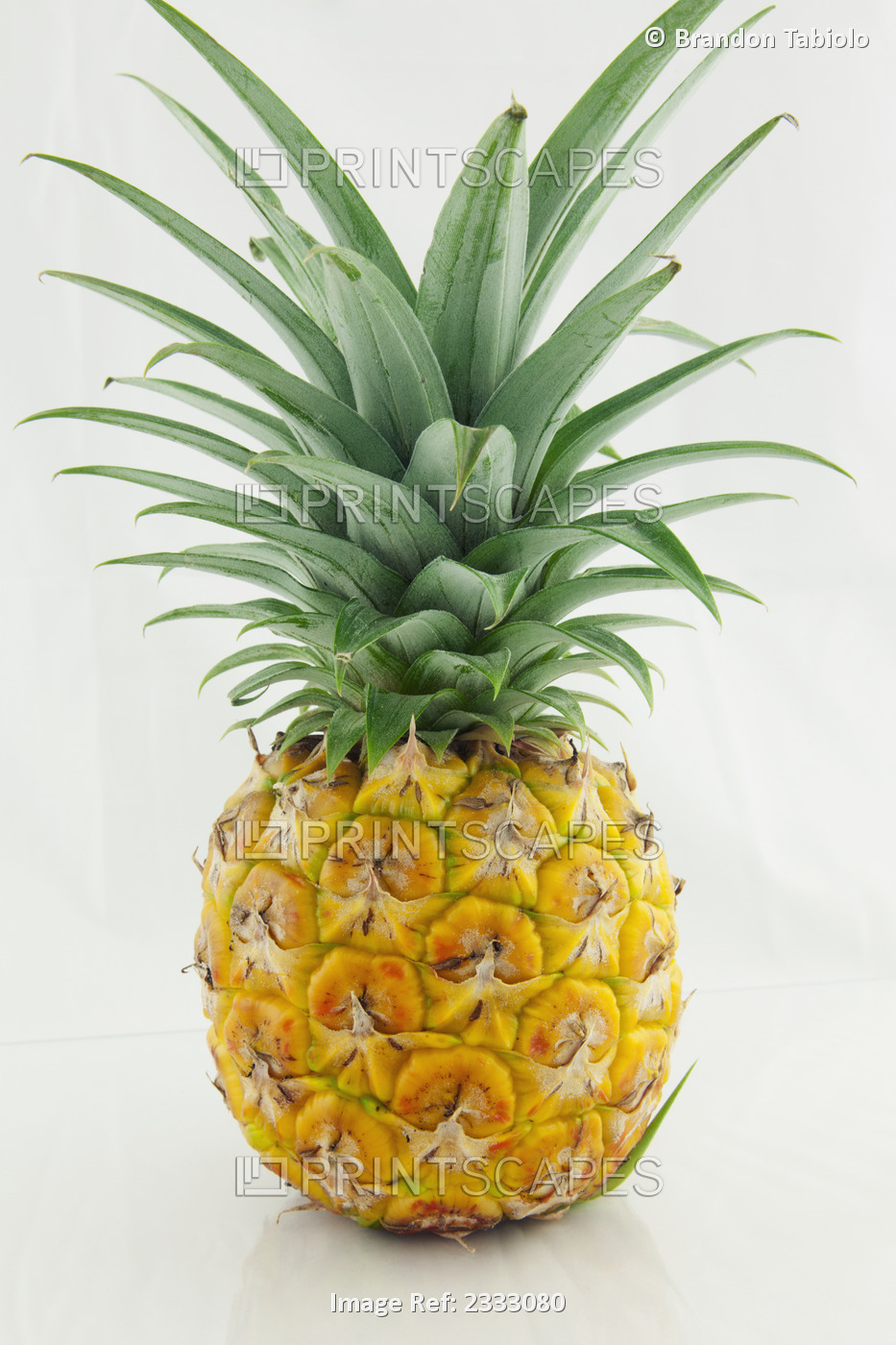 A fresh pineapple on a white background; Hawaii united states of america