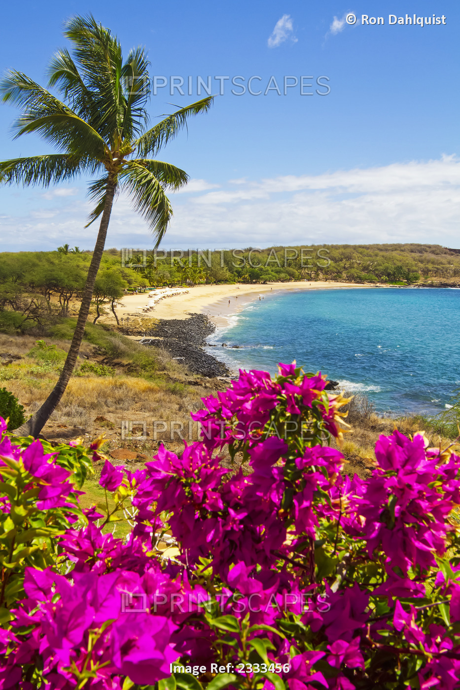 View Of Hulopoe Beach And Manele Bay, Viewed From Four Seasons Resort Lanai At ...