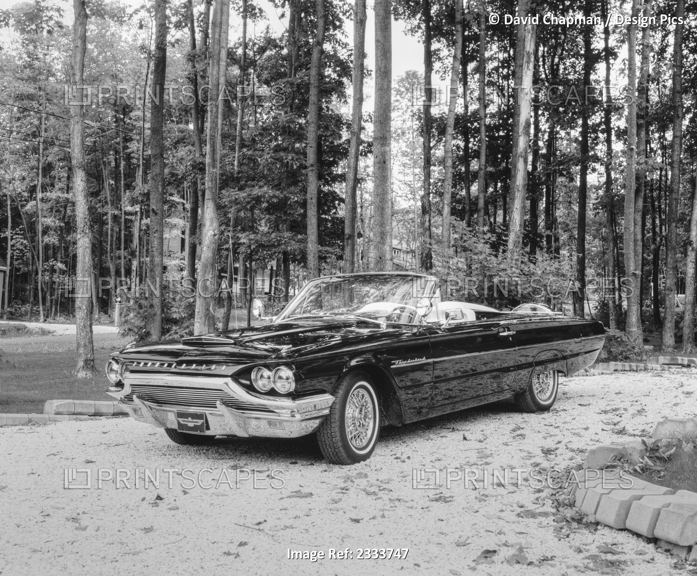 1964 Ford Thunderbird; Waterloo, Quebec, Canada