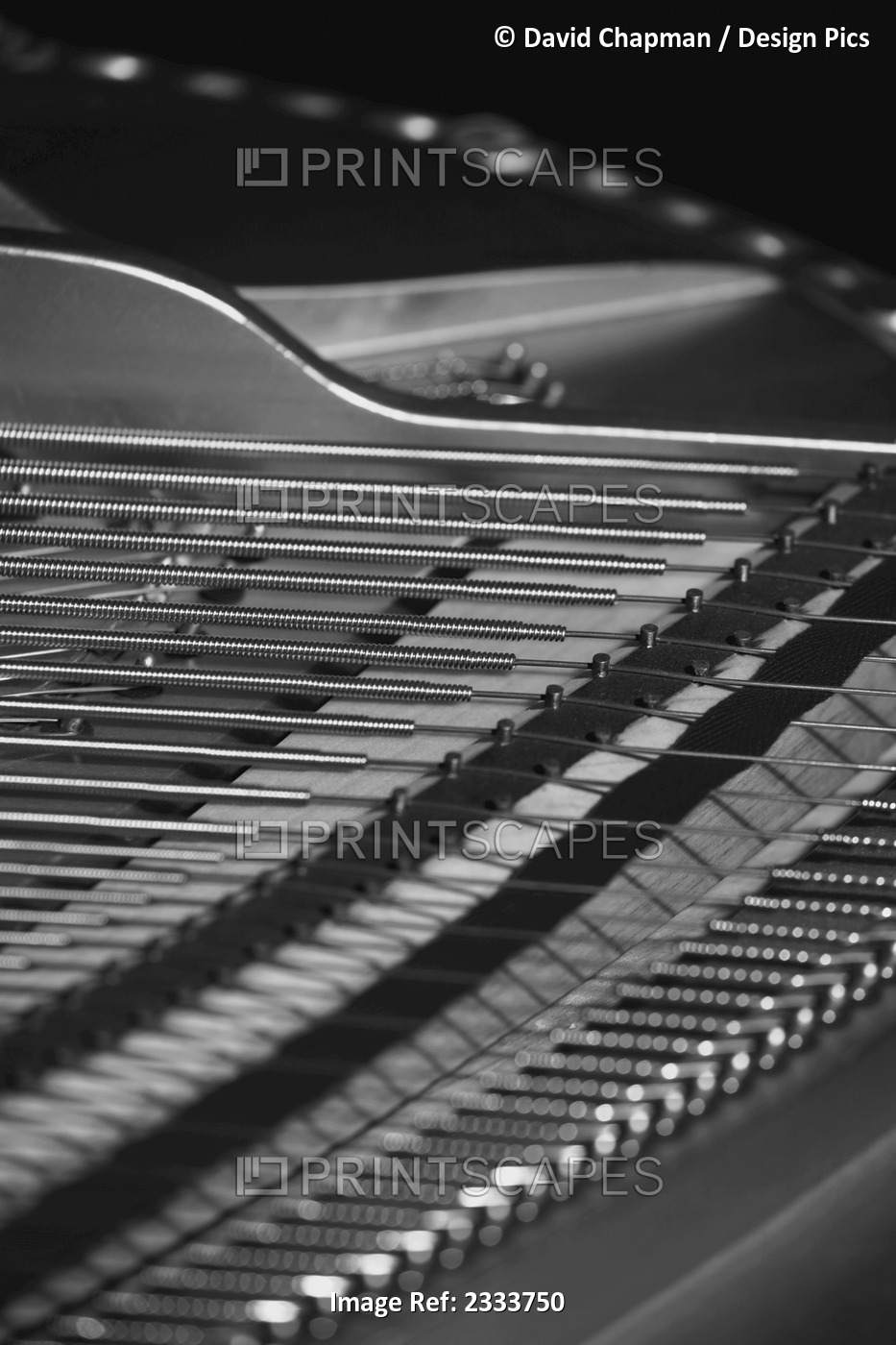 Piano strings; Waterloo, Quebec, Canada