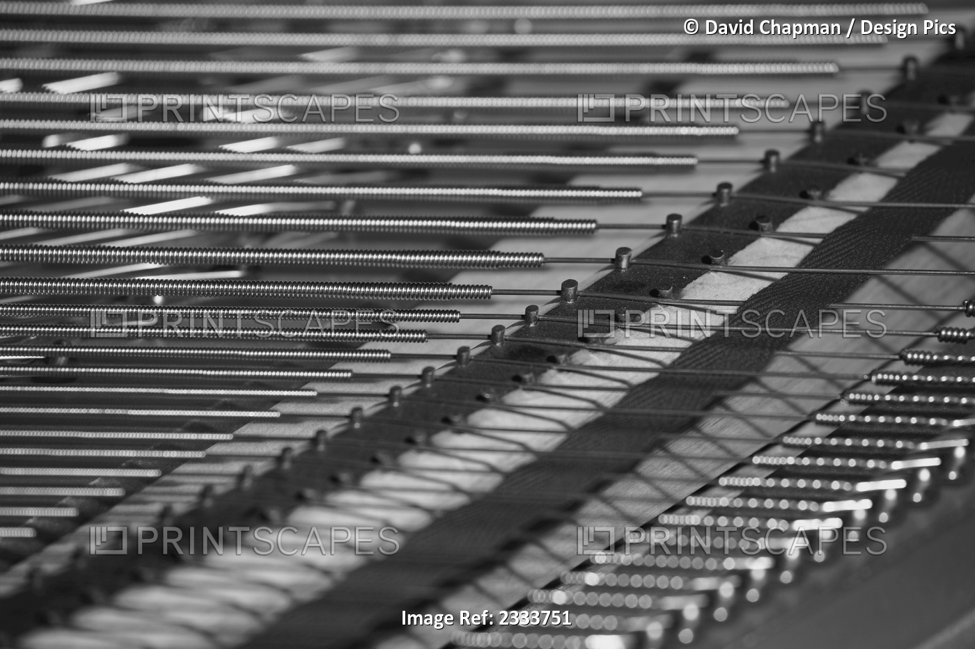 Piano strings; Waterloo, Quebec, Canada