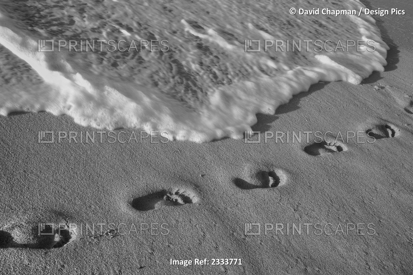 Footprints in the sand; Varadero, Cuba