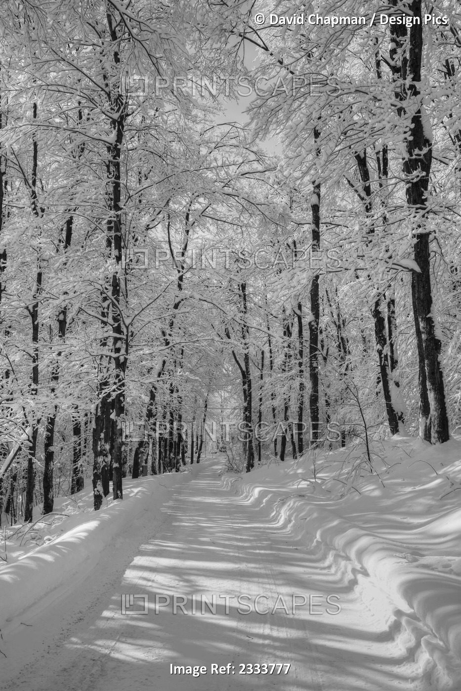A snow covered road in winter; Iron Hill, Quebec, Canada