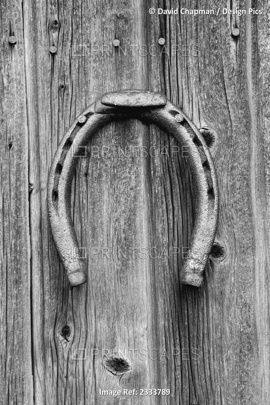 Horseshoe hung on a wooden wall; Iron Hill, Quebec, Canada