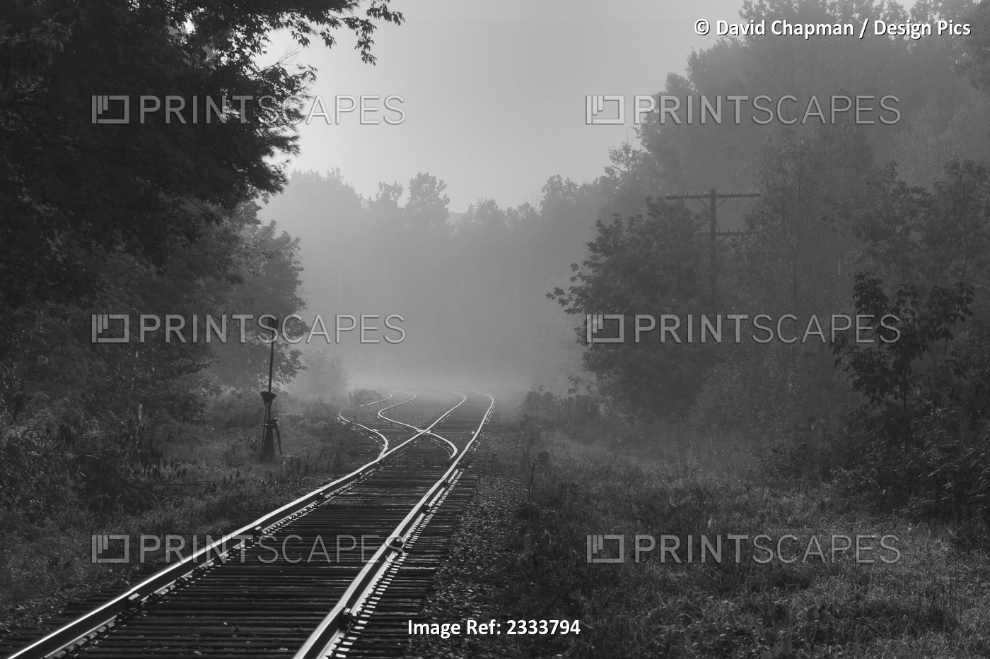 Railway tracks in the early morning fog; Foster, Quebec, Canada