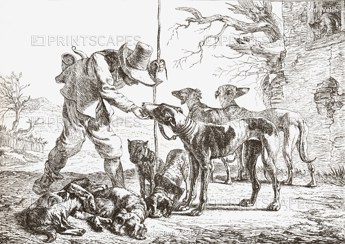Les Chiens By Pieter Van Laer. A Hunter With His Hounds. From Histoire Des ...