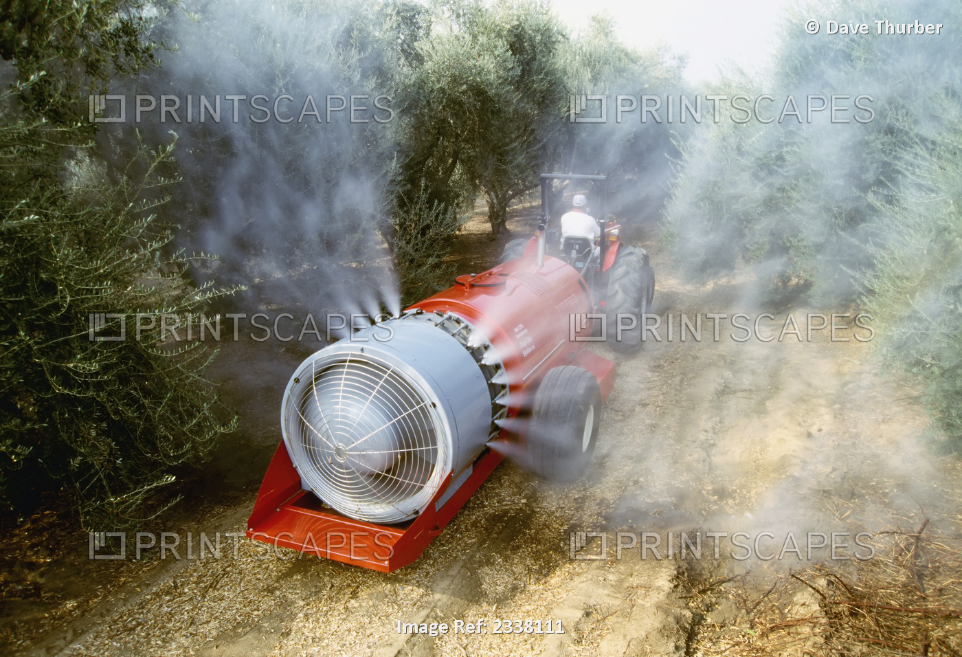 Agriculture - Chemical application, spraying in an olive grove / Tulare County, ...