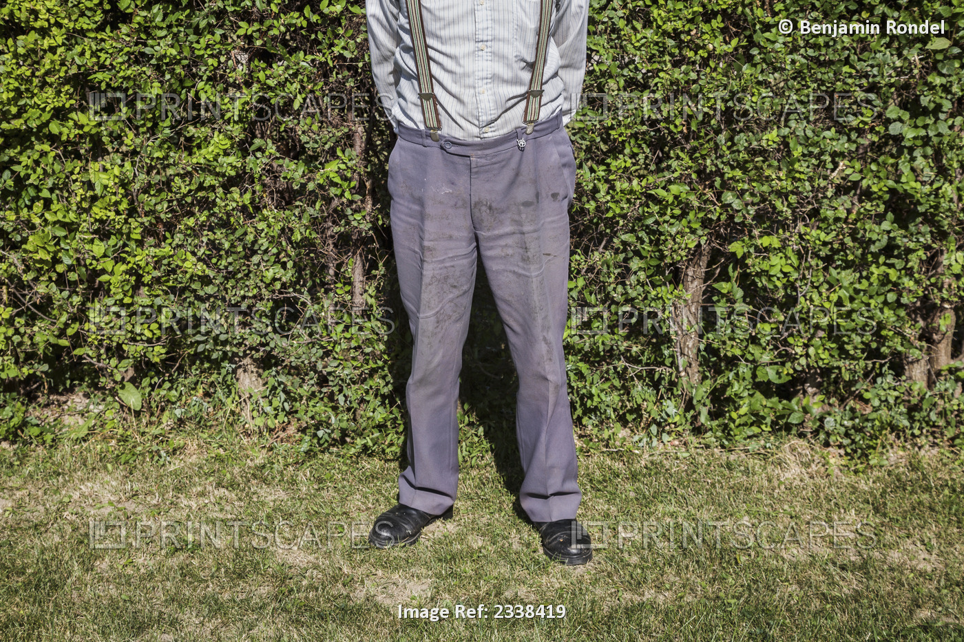 Man Standing In Front Of Hedge; Toronto, Ontario, Canada