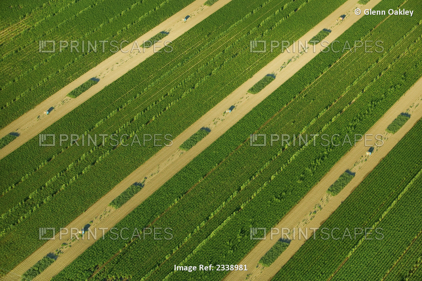 Agriculture - Aerial pattern image of mixed agricultural fields / Idaho, USA.