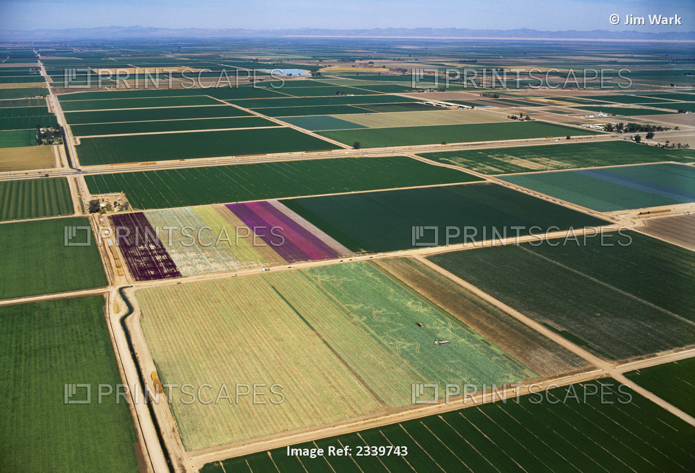 Agriculture - Aerial view of cultivated farmland of various crops / Imperial ...