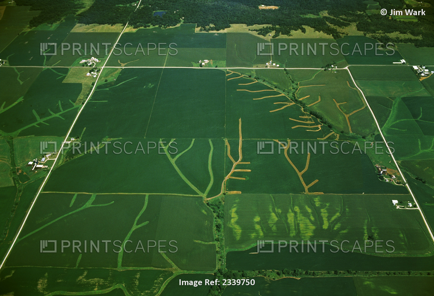 Agriculture - Aerial view of farmsteads and cultivated farmland with a network ...