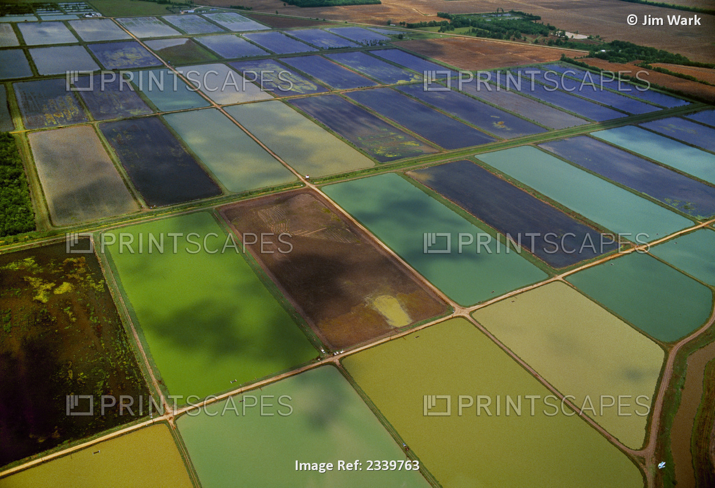 Agriculture - Aerial view of rice fields in various flood stages / near Point ...