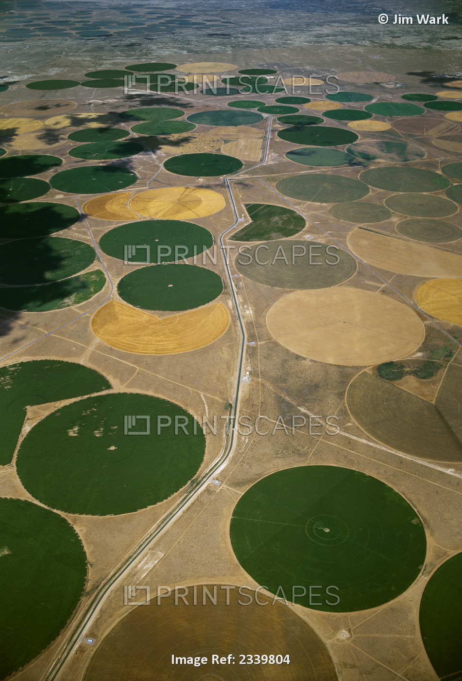 Agriculture - Aerial view of center pivot irrigated circular agricultural ...