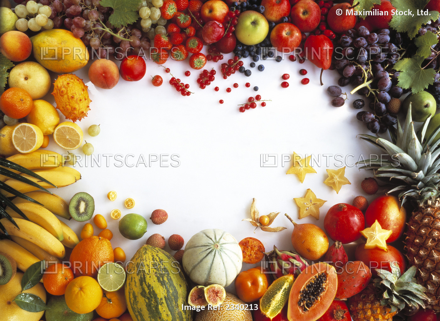 Agriculture - A large variety of fruits on a white background with the center ...