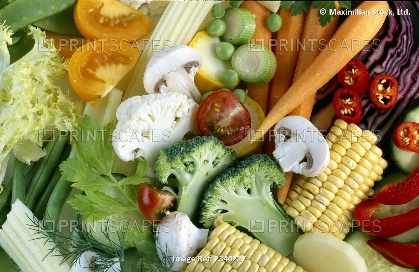 Agriculture - Close-up of mixed vegetables; corn, broccoli, carrots, mushrooms, ...