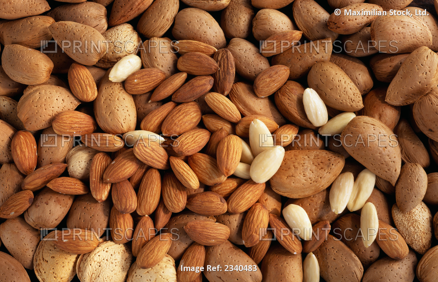 Agriculture - Full frame of shelled, pealed and unshelled almonds, studio.