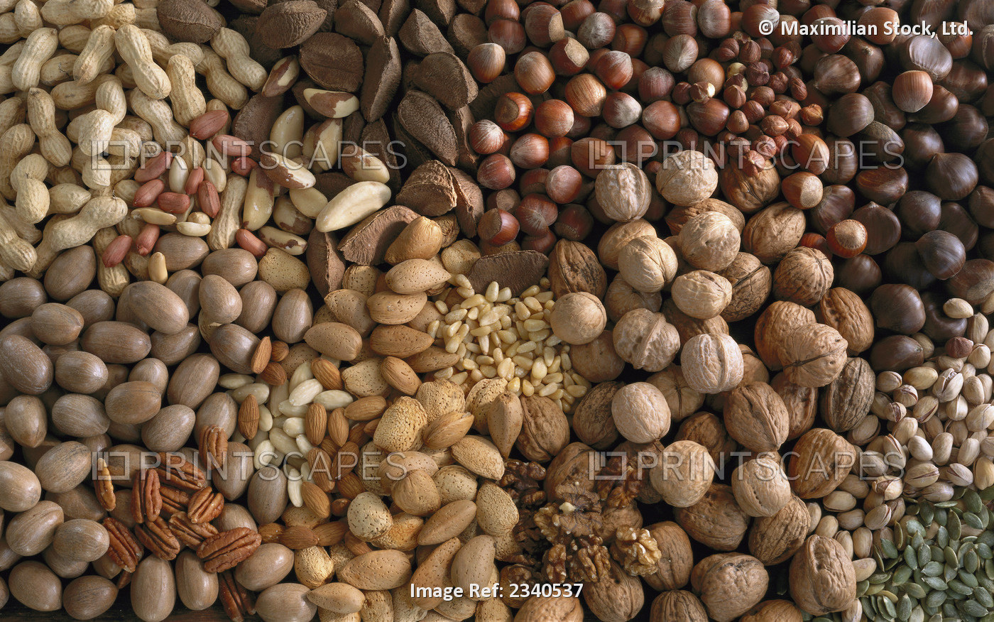 Agriculture - Assorted nuts: pecans, Brazil nuts, almonds, peanuts, chestnuts, ...