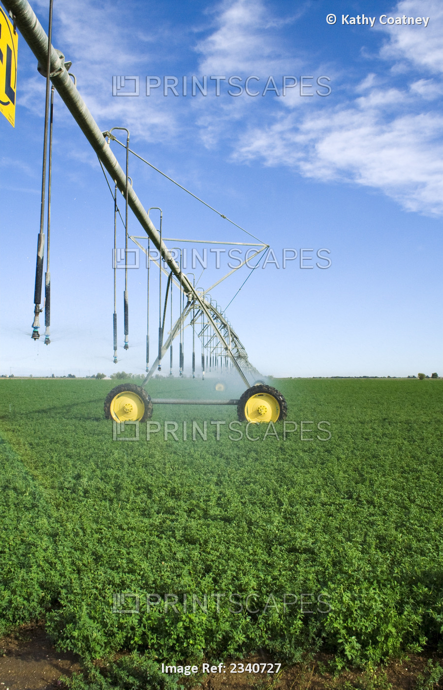 Agriculture - Linear irrigation of a healthy alfalfa field / Northern ...