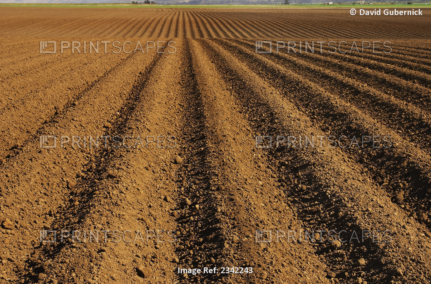 Agriculture - An agricultural field tilled and bedded up, ready for planting of ...