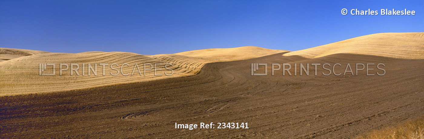 Agriculture - Harvested and plowed rolling wheat fields of the Palouse region ...