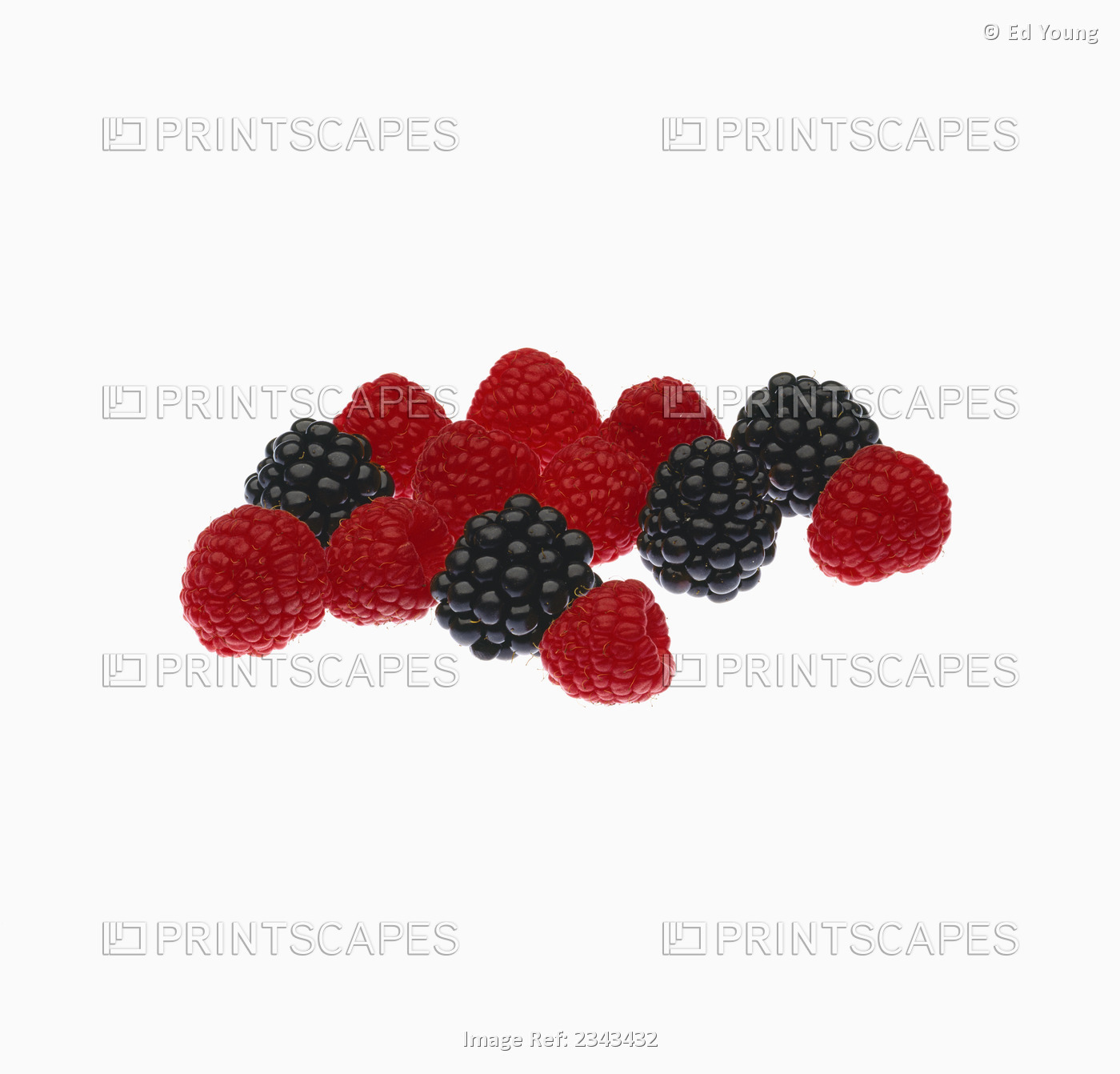 Agriculture - Fruit, Raspberries And Blackberries, Small Group, With Mist.