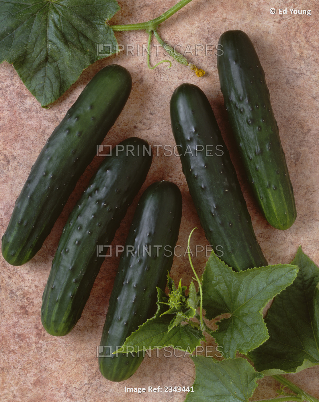 Agriculture - Cucumbers On A Brown Textured Surface; Jade Variety, Studio.