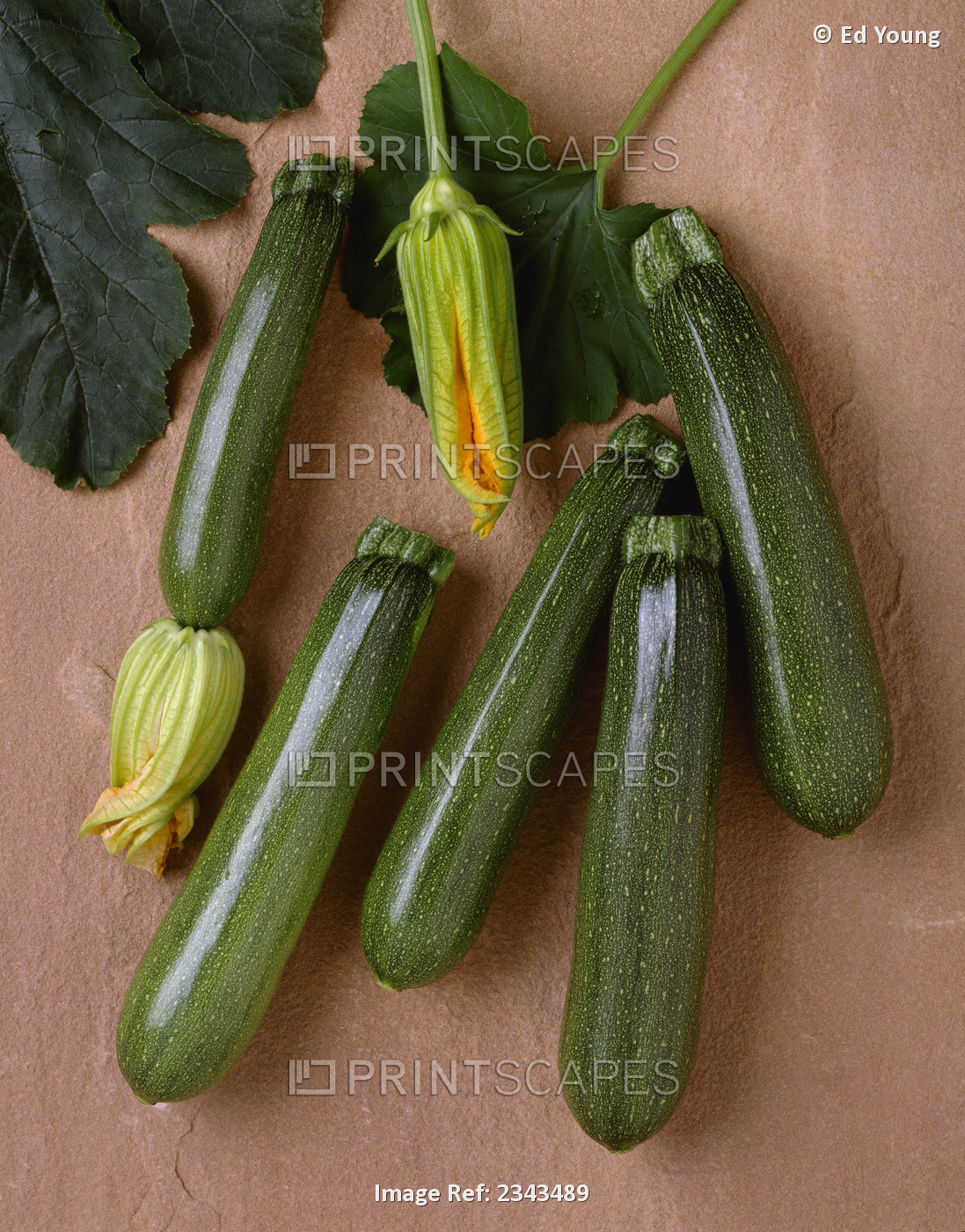 Agriculture - Green zucchini on a stone surface; variety Tigress, studio.