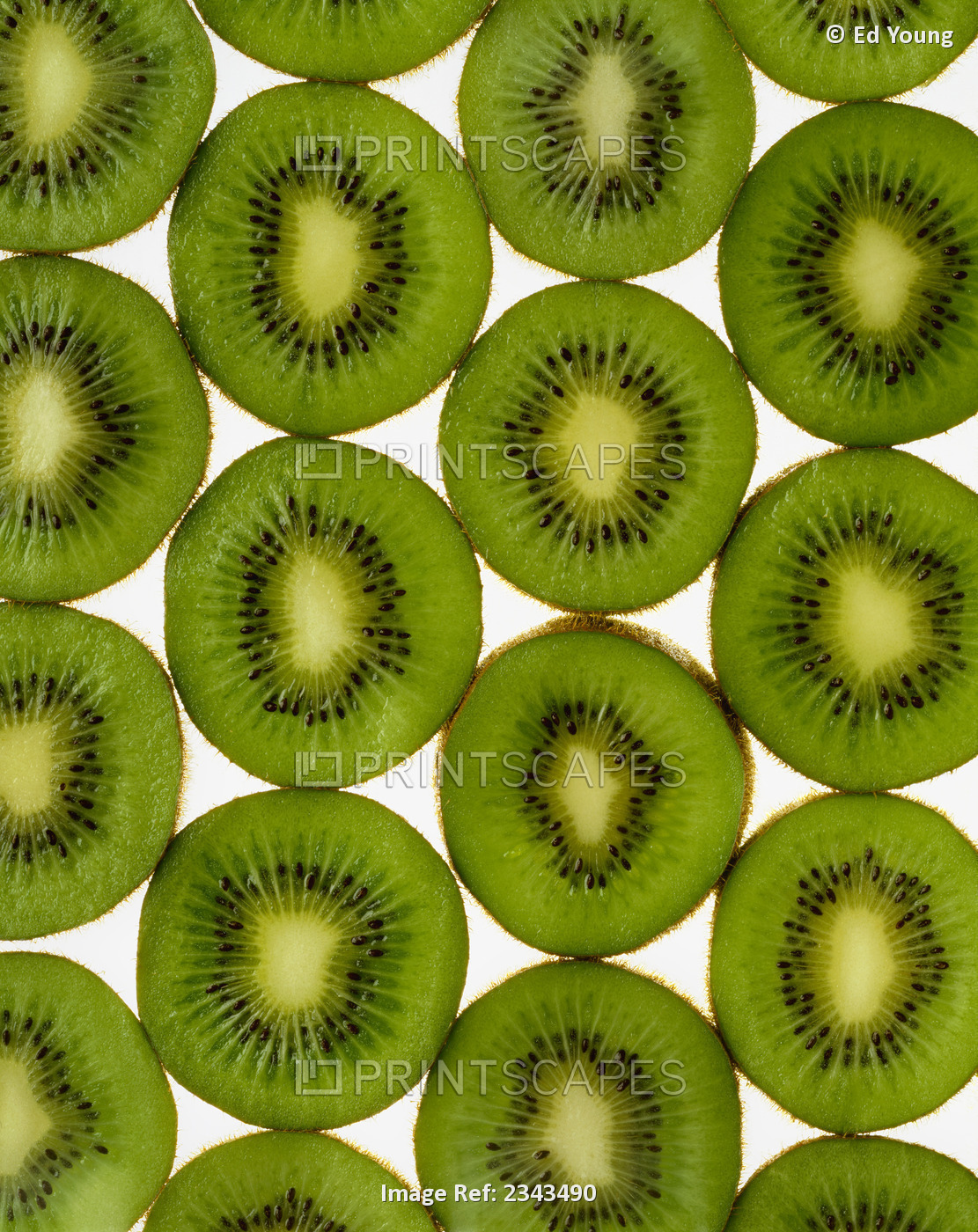 Agriculture - Kiwi slices arranged in rows and backlit, studio. Version 2.