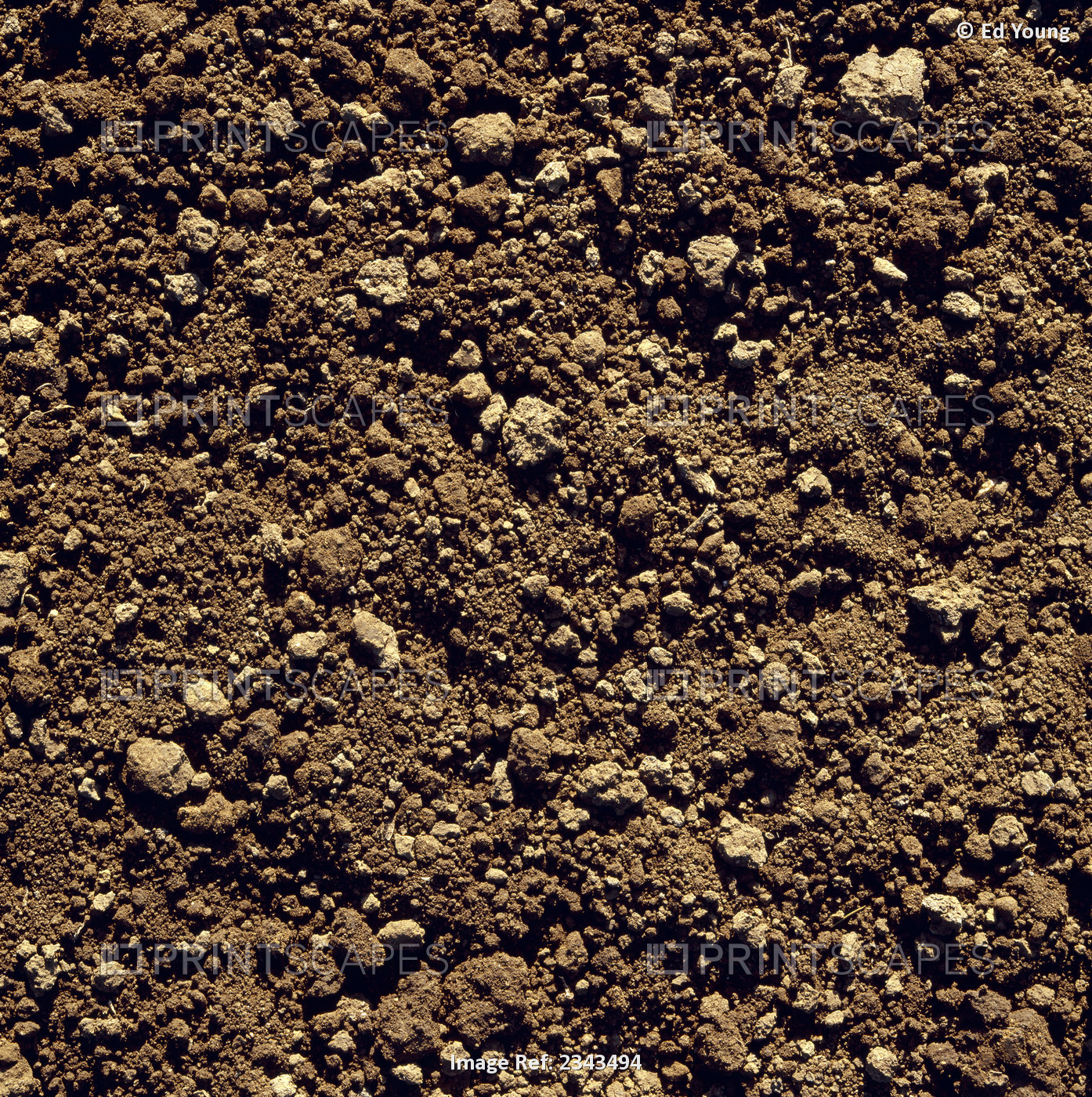 Agriculture - Closeup of clay soil / Monterey County, California, USA.