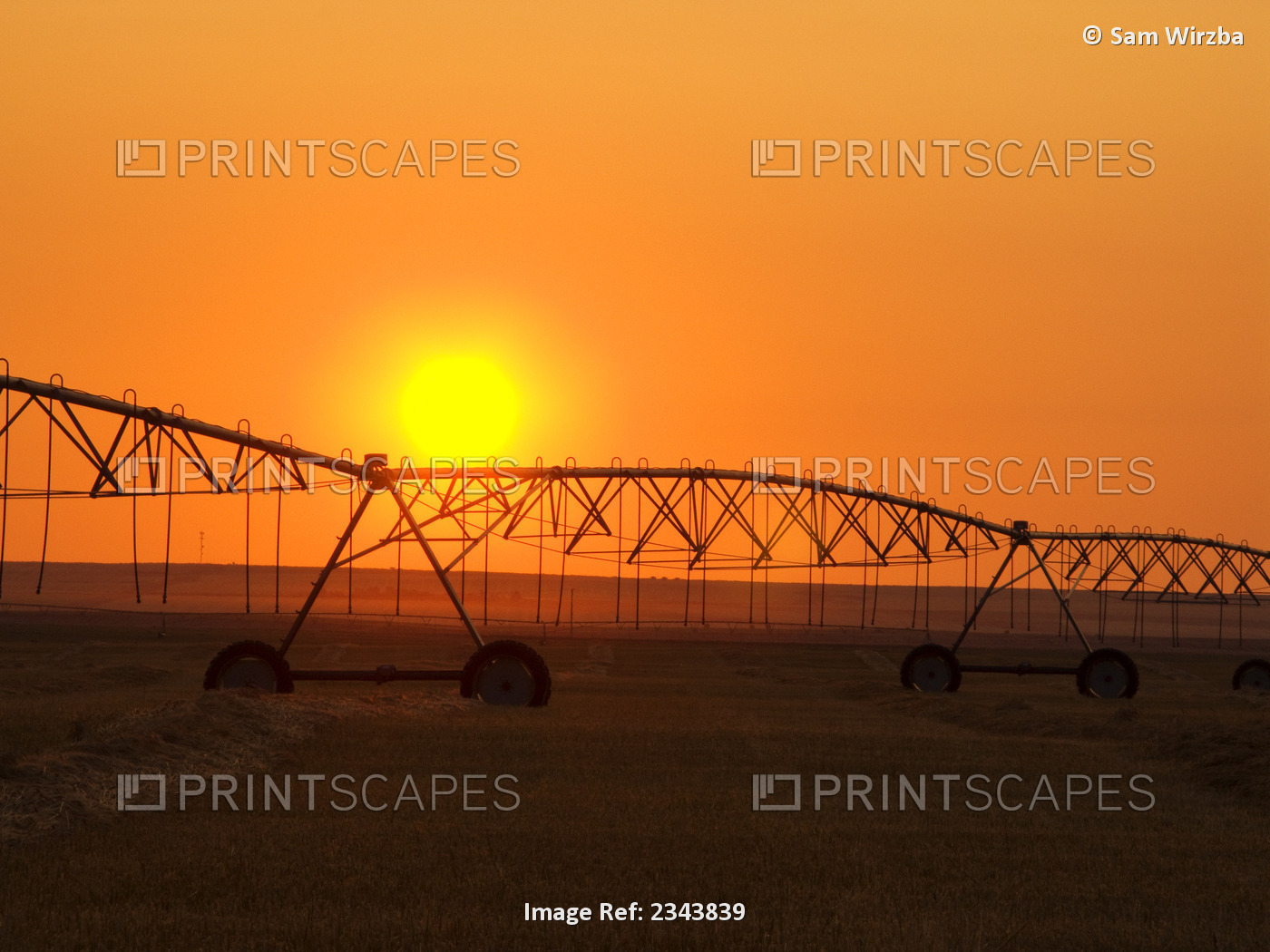 Agriculture - Center pivot irrigation system silhouetted at sunrise on a hay ...