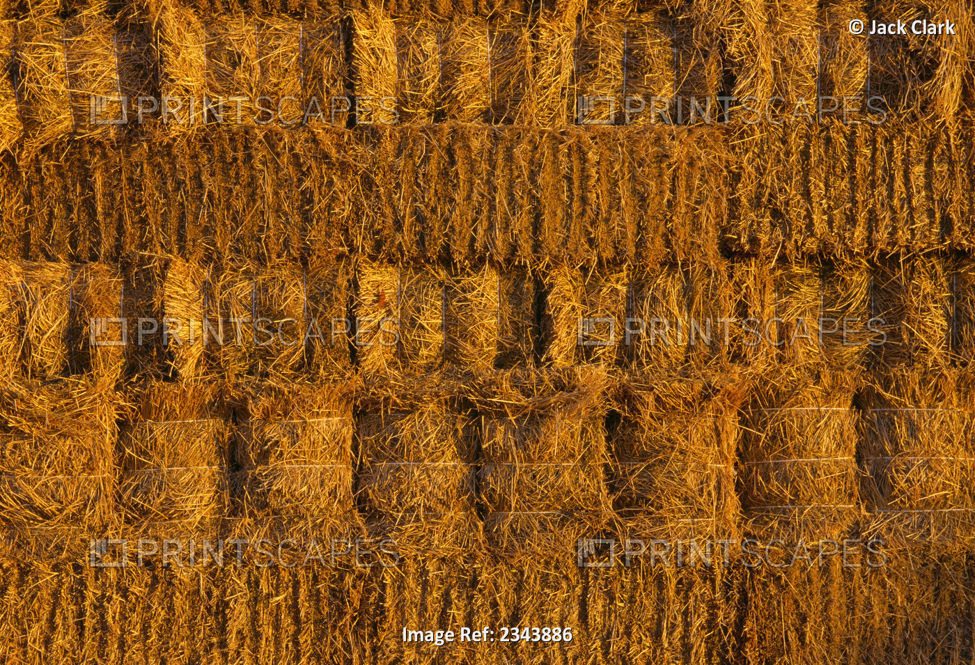 Agriculture - Alfalfa hay bales stacked up after harvest; bales will be ...