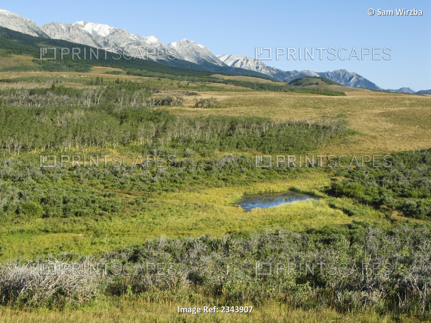 Livestock - Wetland and mountain meadows used for livestock grazing in Canadian ...