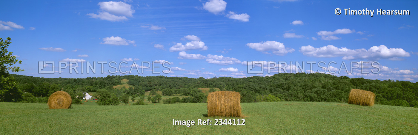 Agriculture - Dried round grass hay bales in the field with a barn in the ...