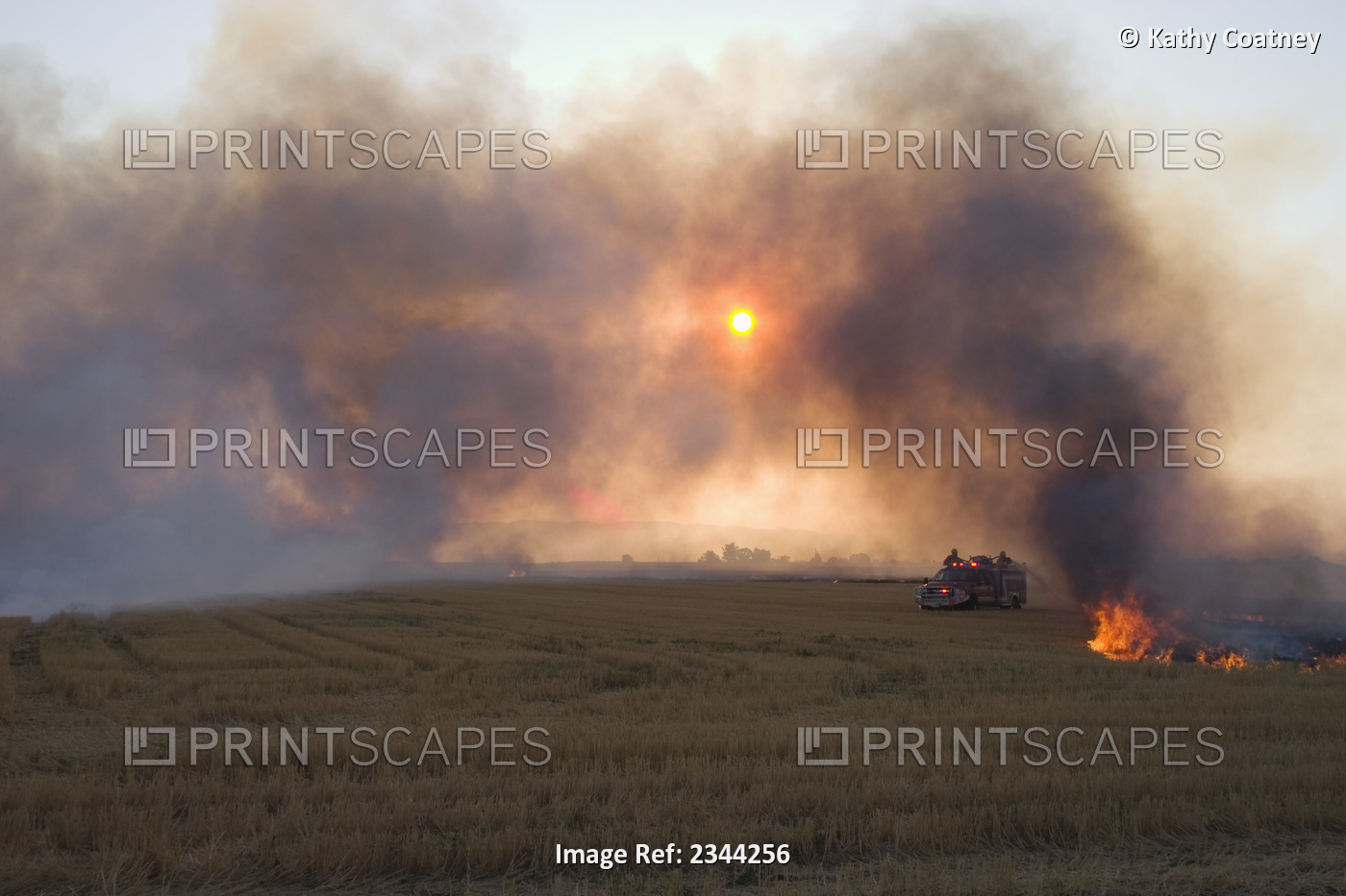 Agriculture - Field of wheat stubble being burned after the harvest to control ...