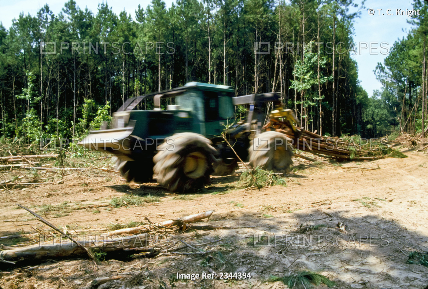 Agriculture - A skidder pulling pulpwood logs to the loading deck during timber ...
