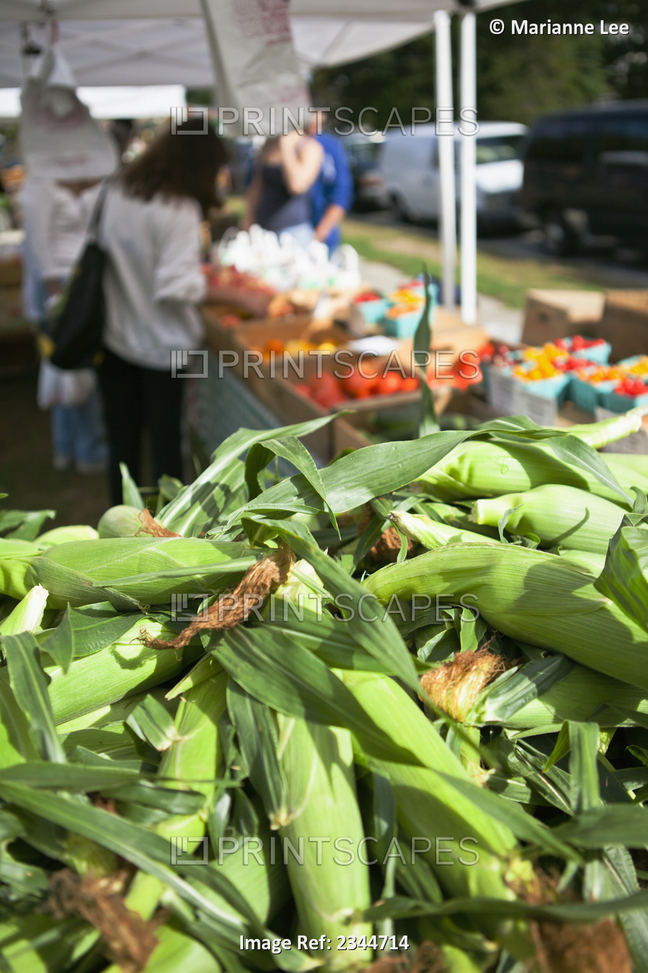 Agriculture - Sweet corn and other produce for sale with customers in the ...