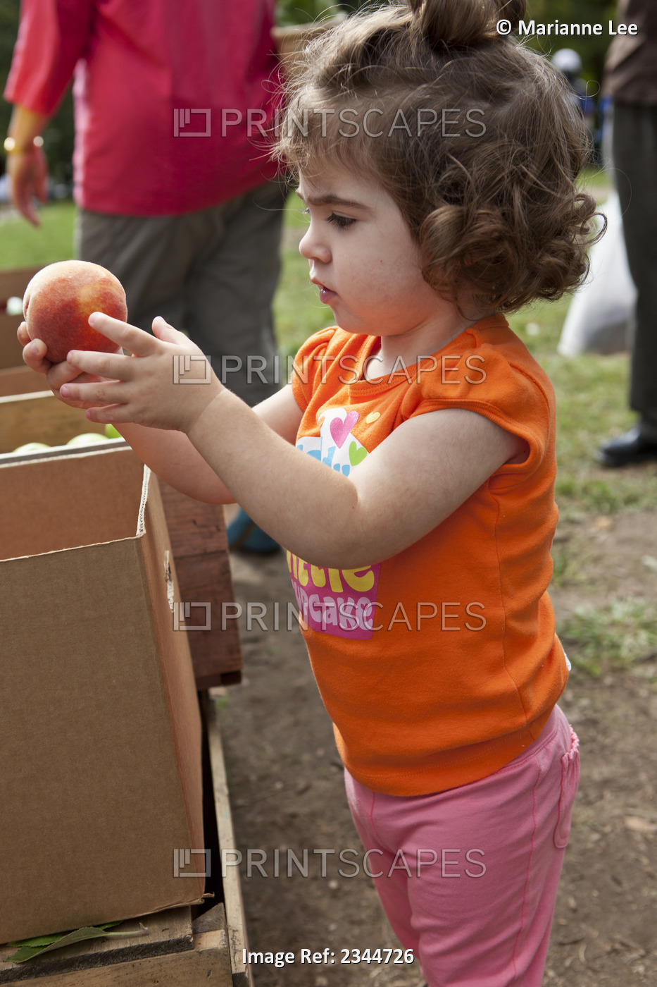 Agriculture - A little girl chooses a sweet peach at the Hope Street Farmers ...