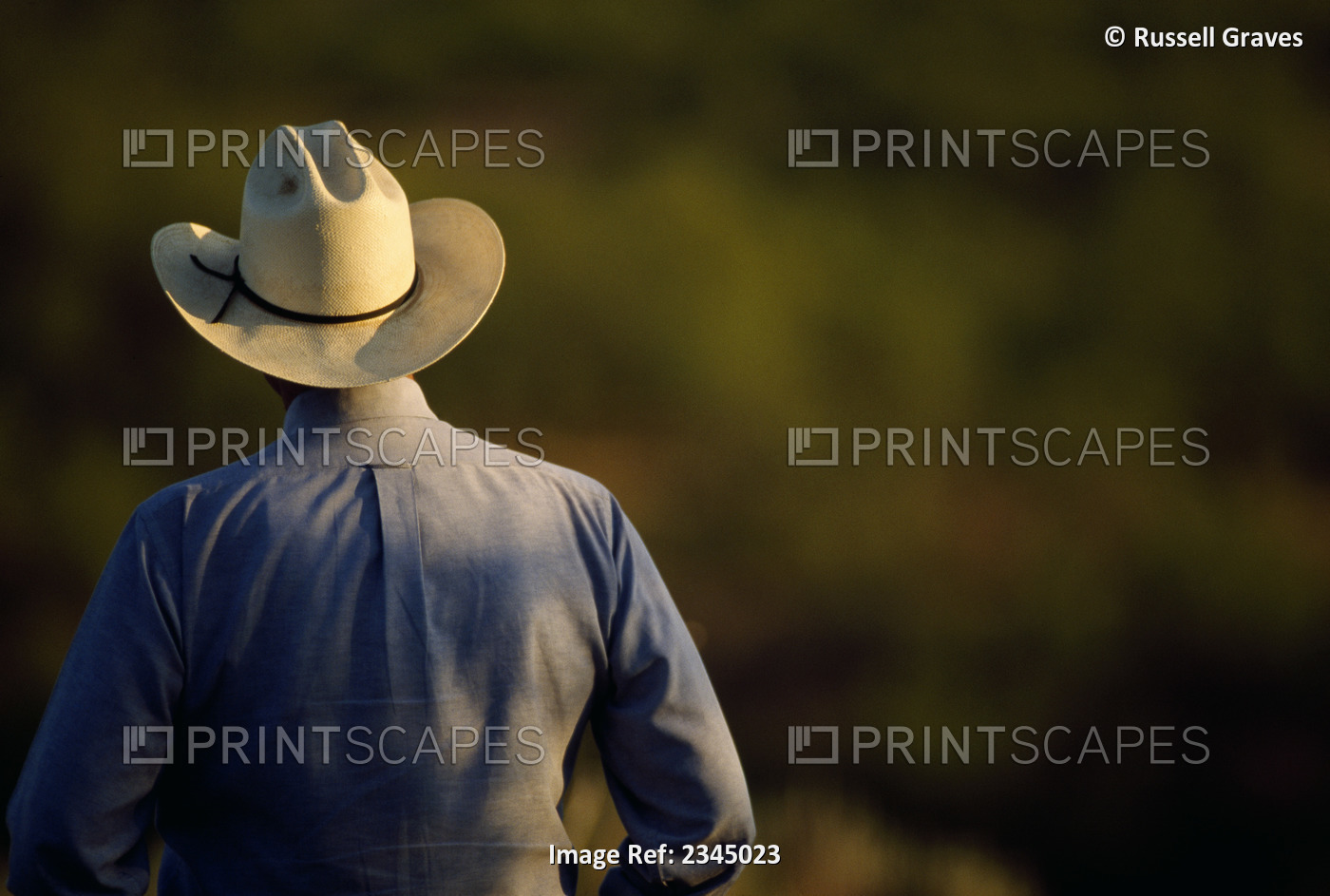 Agriculture - View of a cowboy from behind / Cee Vee, Texas, USA.