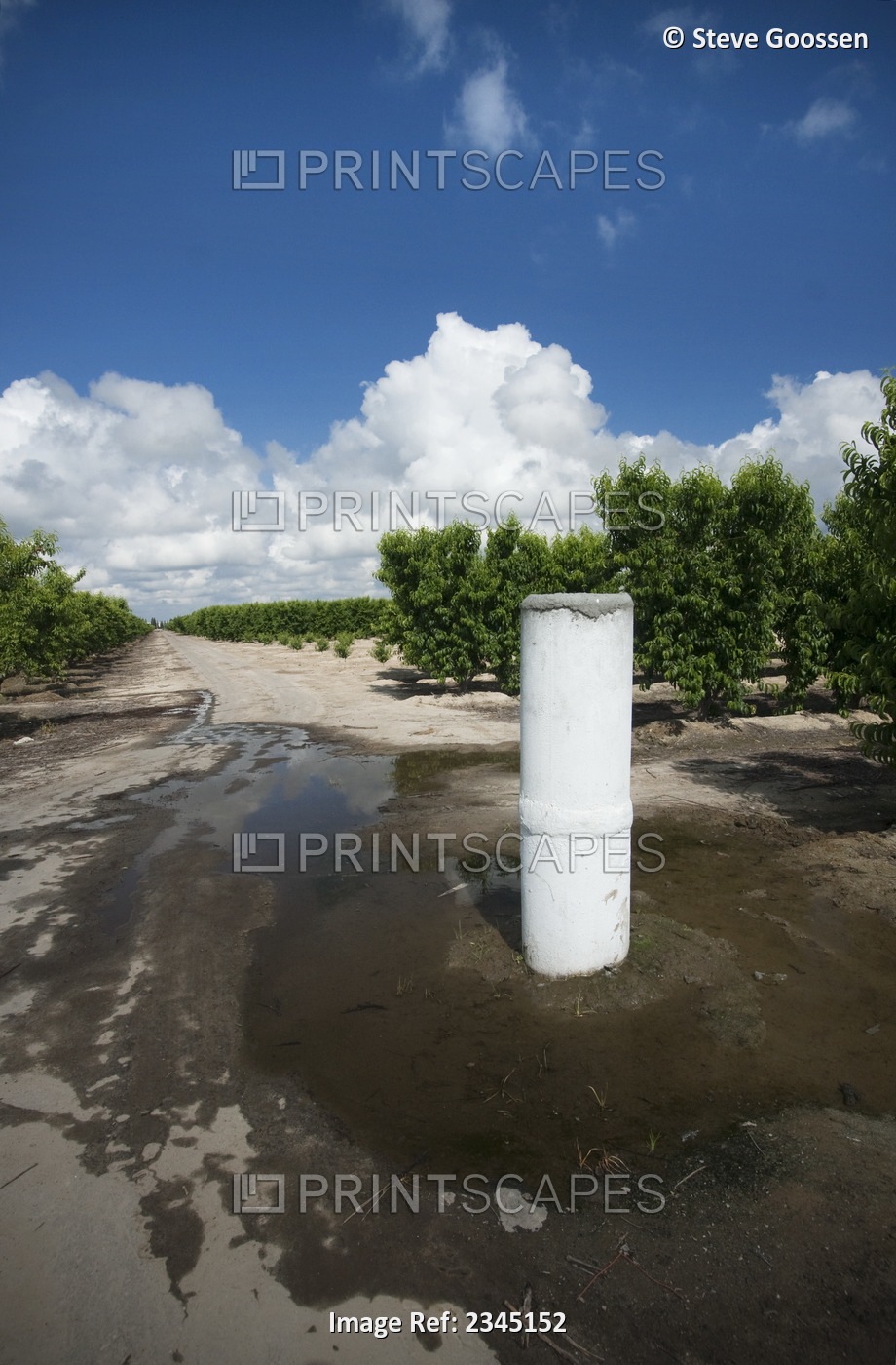 Agriculture - This irrigation standpipe broke off from the underground pipeline ...