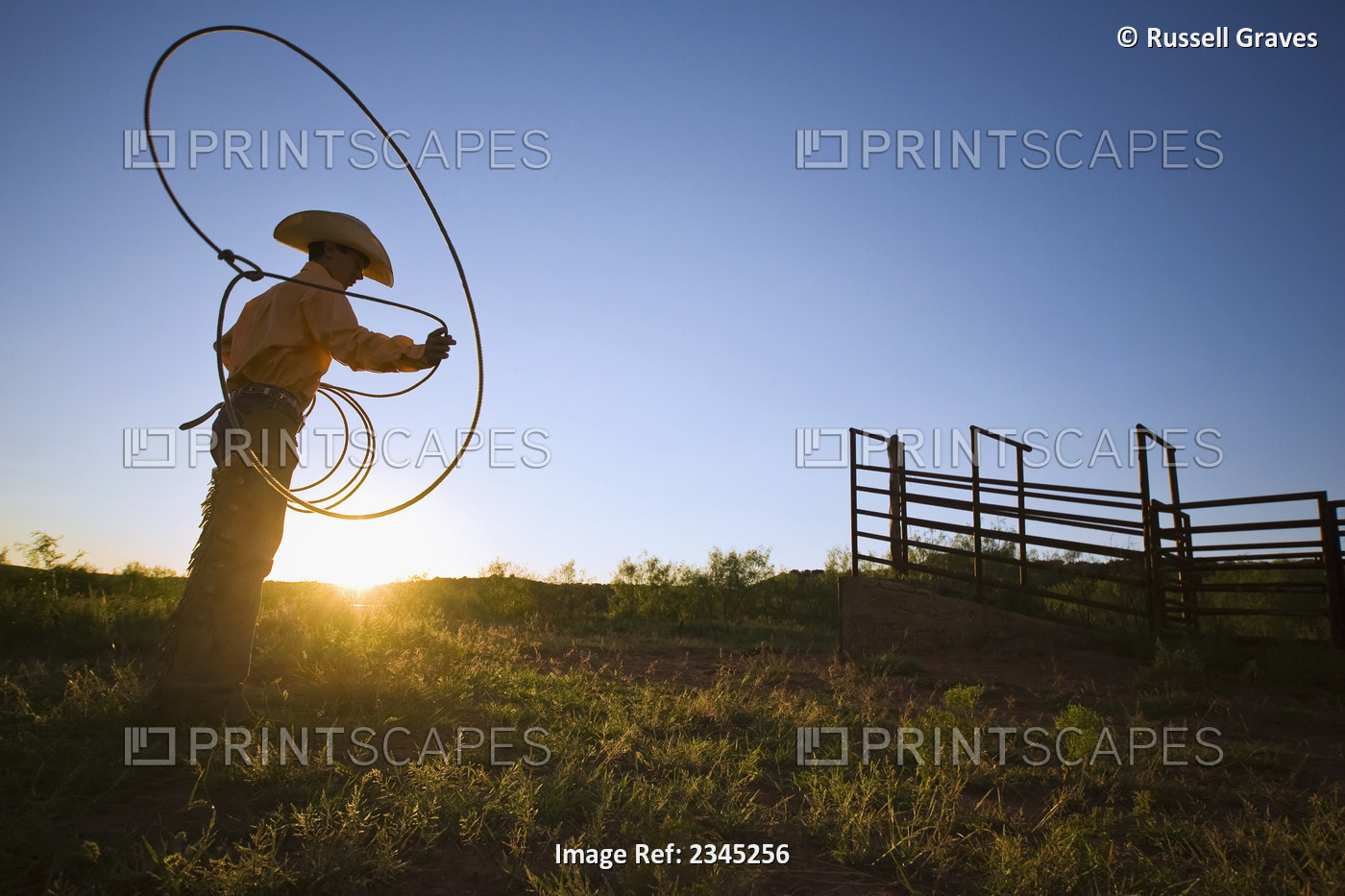 Agriculture - A young cowboy, silhouetted by the setting sun, spins his lariat ...