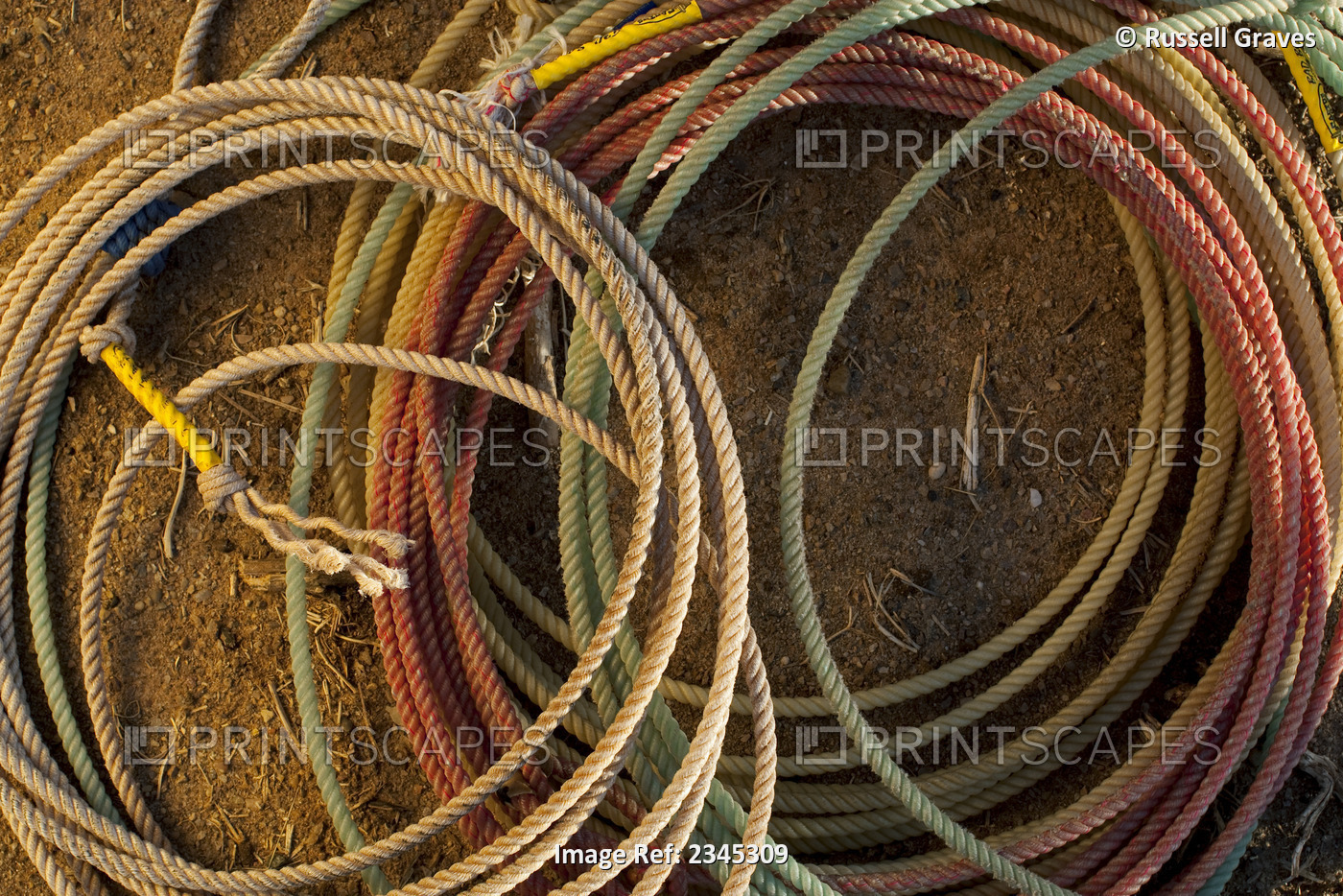Agriculture - Closeup of a group of lariat ropes / Childress, Texas, USA.
