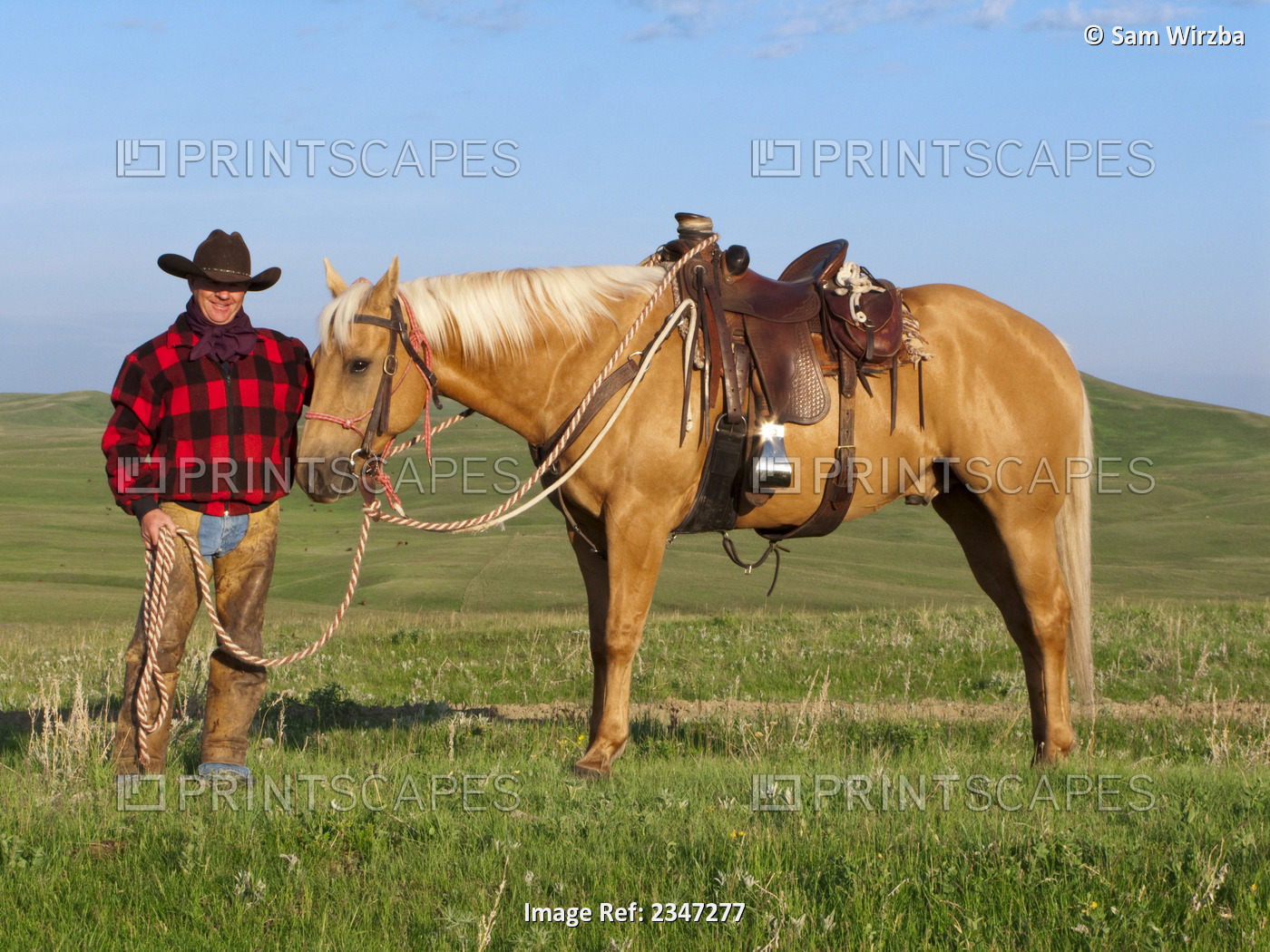 Livestock - A cowboy poses with his horse on a green prairie / Alberta, Canada.