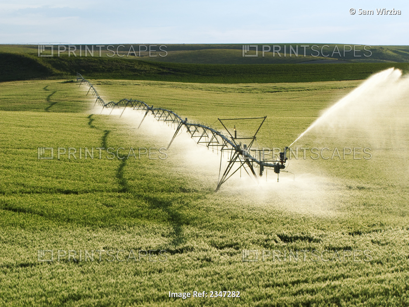 Agriculture - Operating center pivot irrigation system on a green grain field / ...