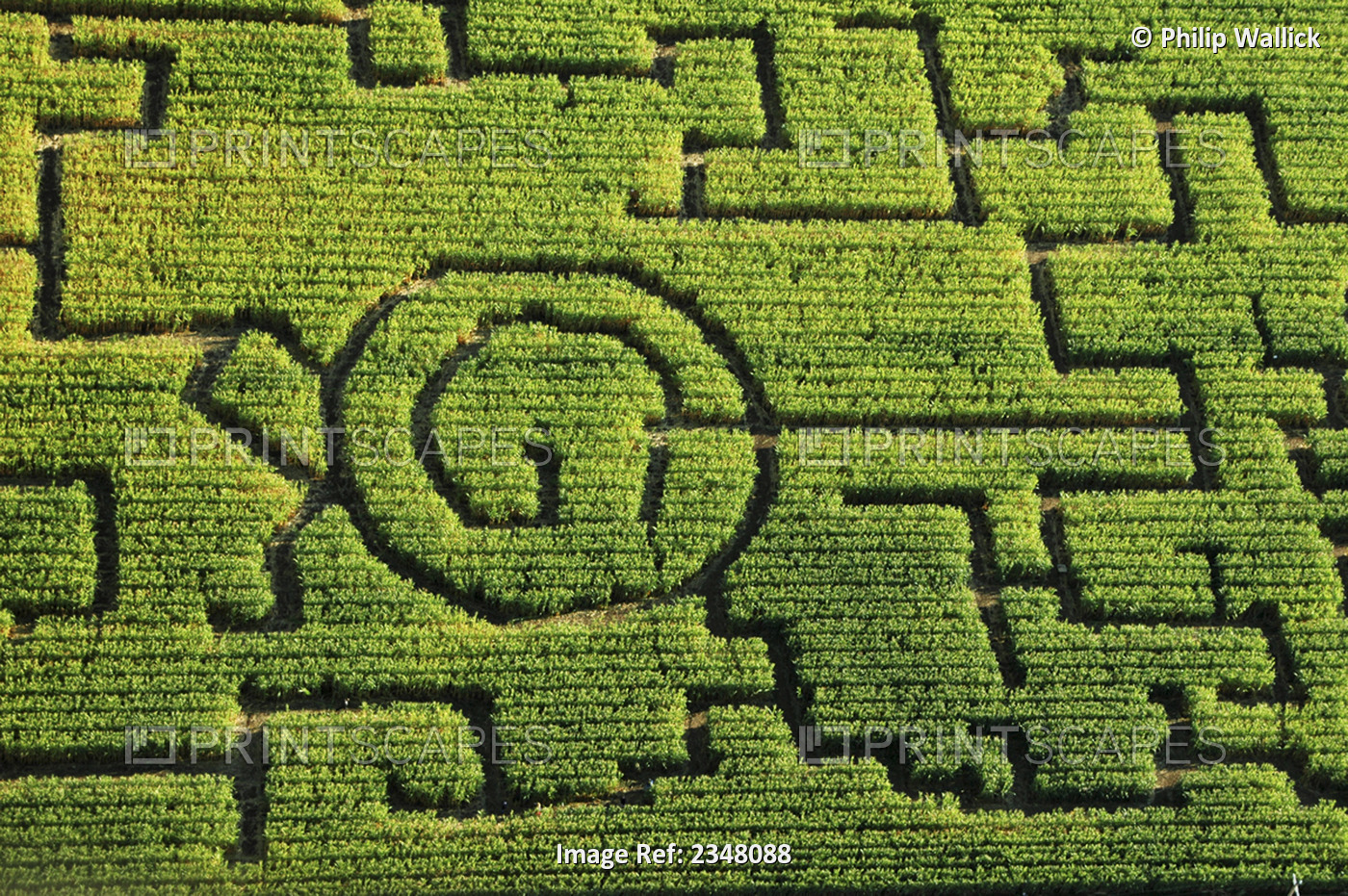 Agriculture - Aerial view of a corn maze / Chico, California, USA.