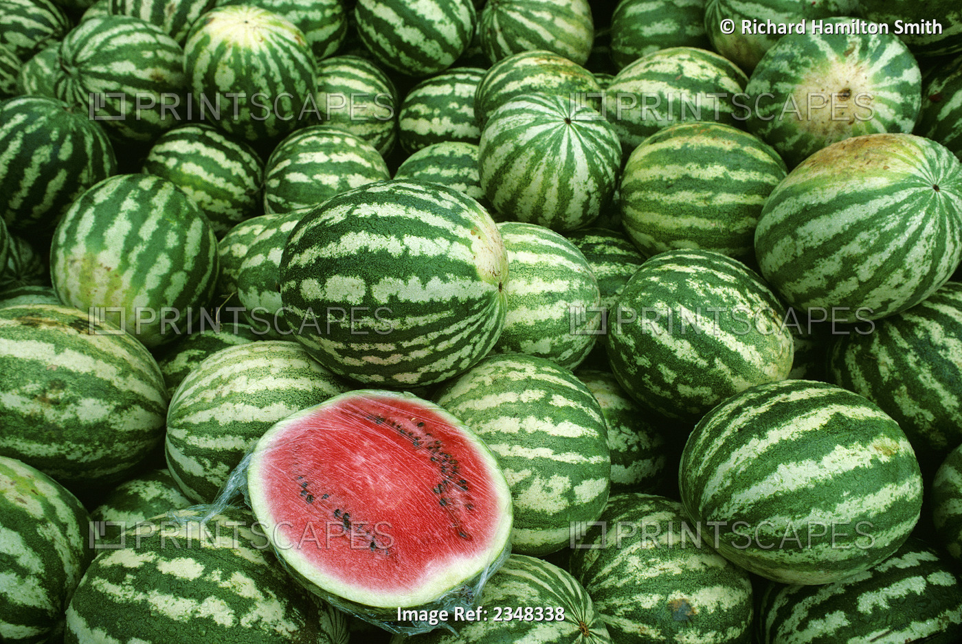 Agriculture - Fresh watermelons for sale at the Quincy Market / Boston, ...