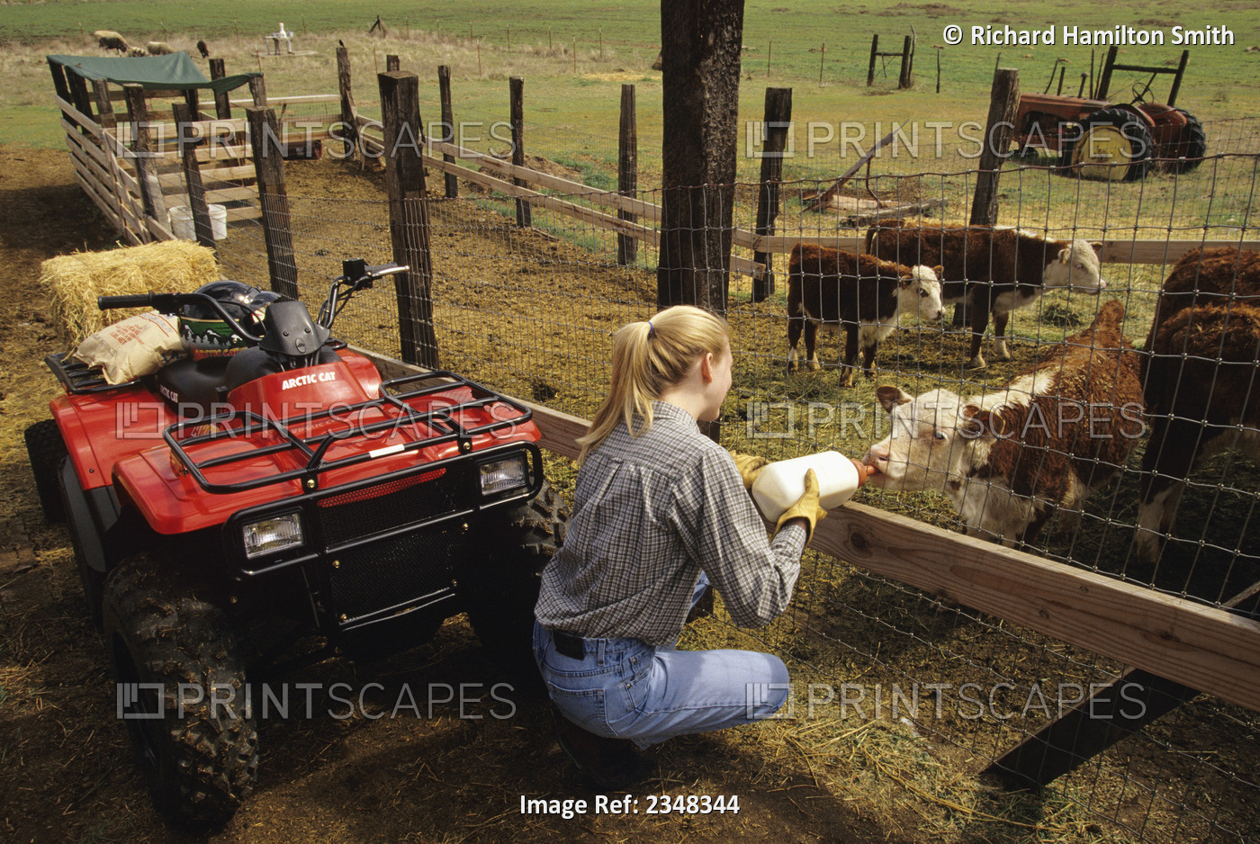 Agriculture - A young farm woman on a rural ranch feeds young motherless ...