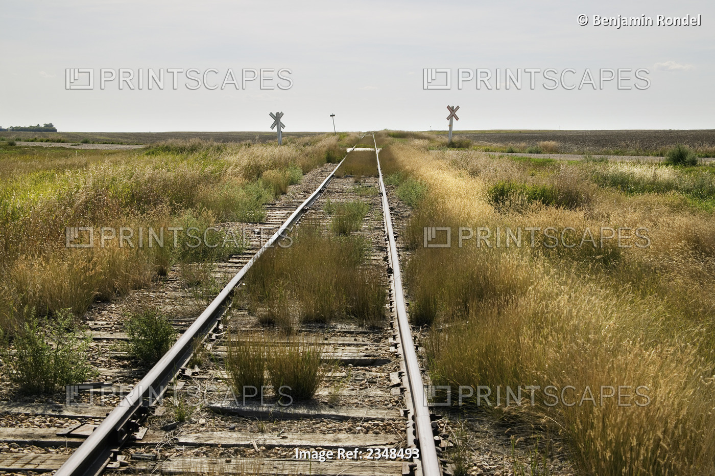 Old Railroad Tracks In A Rural Area; Saskatchewan, Canada