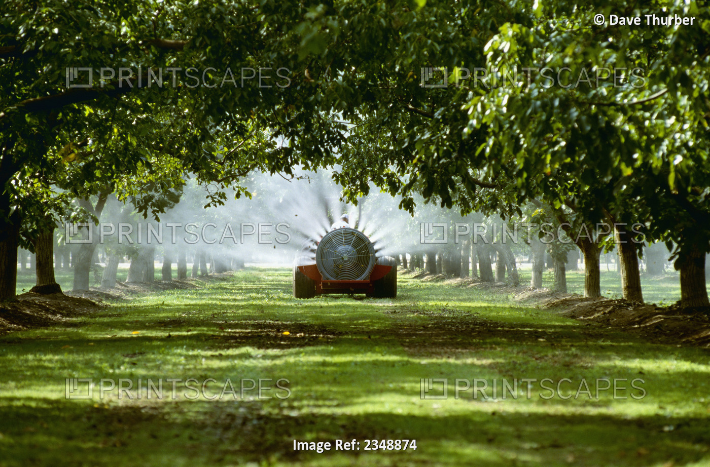 Agriculture - Chemical application, fan jet sprayer in a walnut orchard / ...