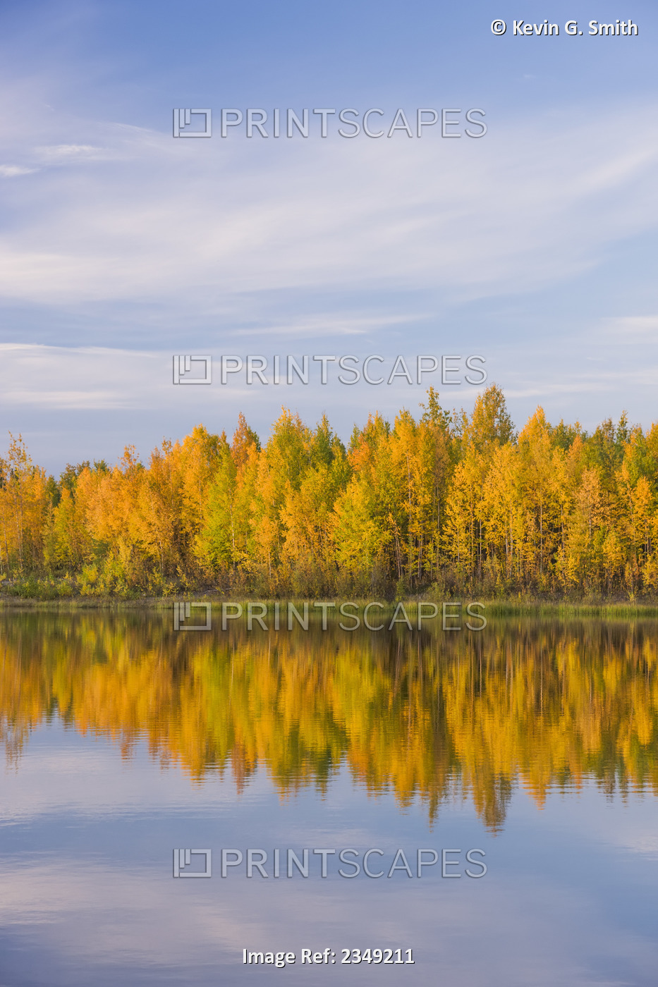 Fall Foliage Reflected In The Water At The Chena Lakes Recreation Area, ...