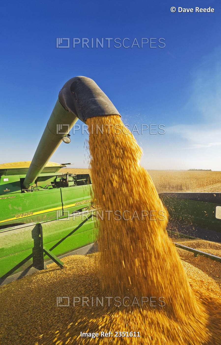 Agriculture - A John Deere combine unloads freshly harvested grain corn into a ...